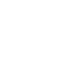 Icône Instagram blanc